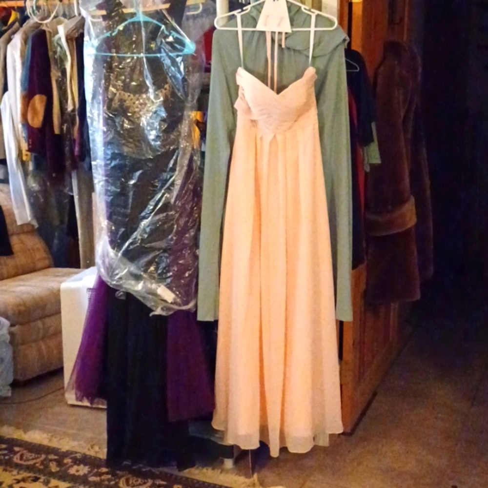 Bill Levkoff Peach Colored Strapless Chiffon Gown size 4
